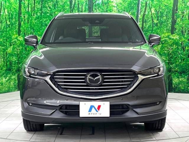 Mazda CX-8 2018-03 24960-14