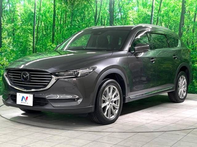 Mazda CX-8 2018-03 24960-17