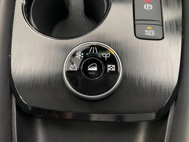 Nissan X-TRAIL 2022-08 22631-9