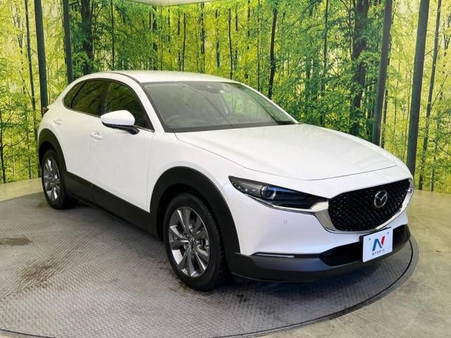 Mazda CX-30 2023-03 190226-16