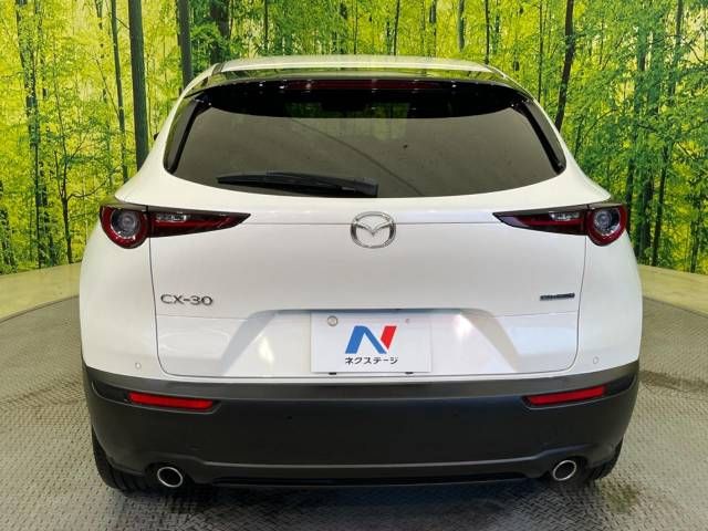 Mazda CX-30 2023-03 190226-15