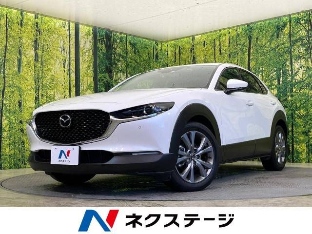 Mazda CX-30 2023-03 190226-0