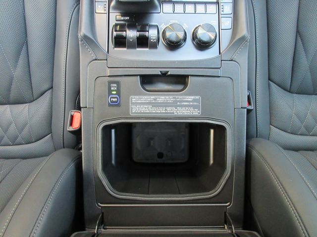 Lexus LX 2021-06 1836-28