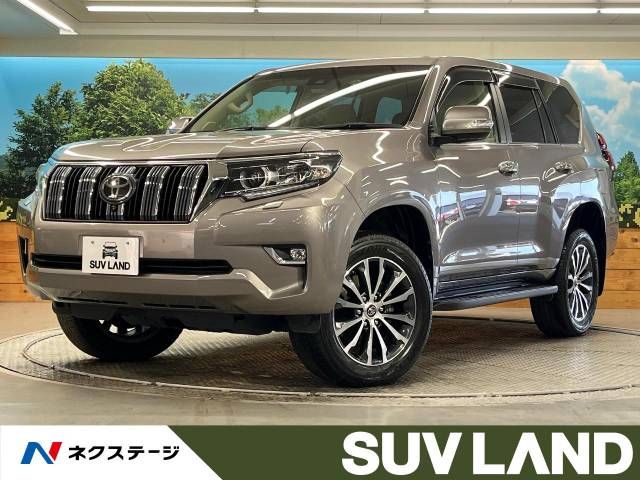 Toyota PRADO 2020-12 194815-0