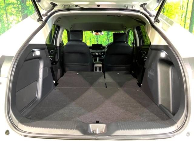 Honda VEZEL 2021-06 193291-10