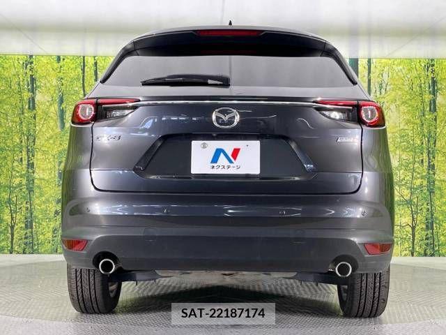 Mazda CX-8 2018-04 210894-15