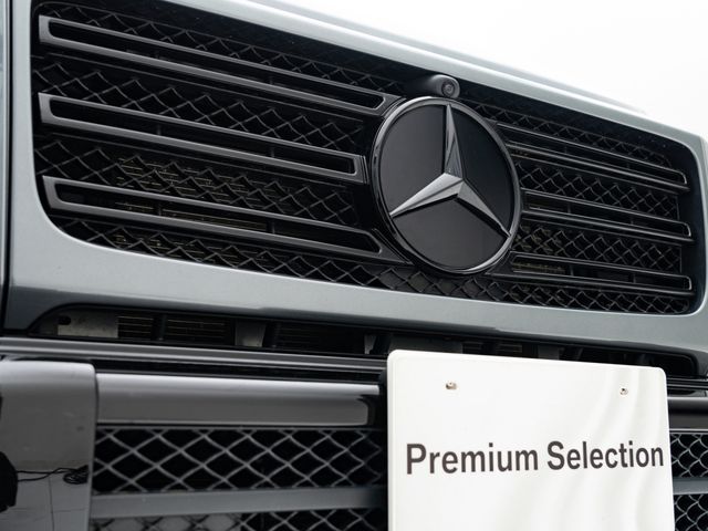 Mercedes Benz G-CLASS 2021-03 14220-15