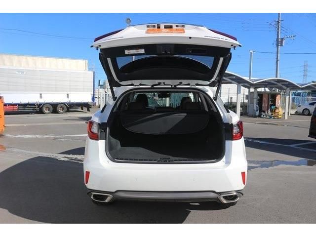 Lexus RX 2017-03 22810-9