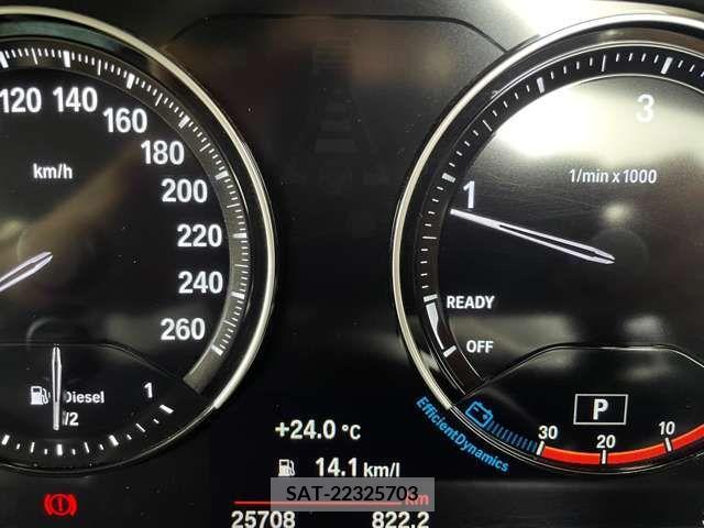 Bmw 1 SERIES 2019-06 293166-17
