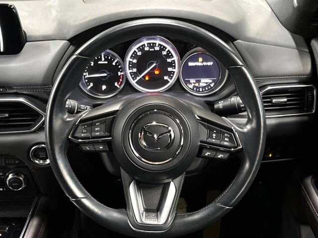 Mazda CX-8 2018-06 194822-12