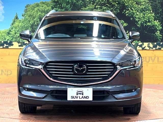 Mazda CX-8 2018-06 194822-15