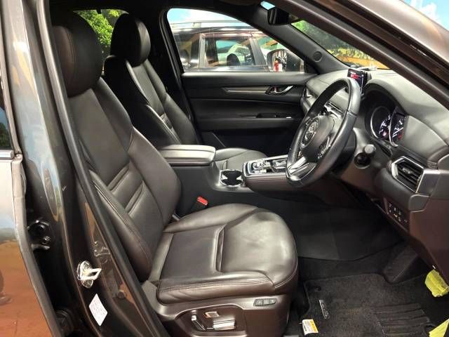 Mazda CX-8 2018-06 194822-8