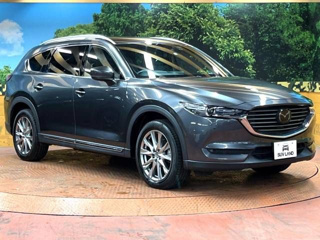 Mazda CX-8 2018-06 194822-17