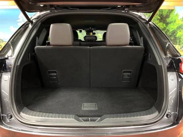 Mazda CX-8 2018-06 194822-11