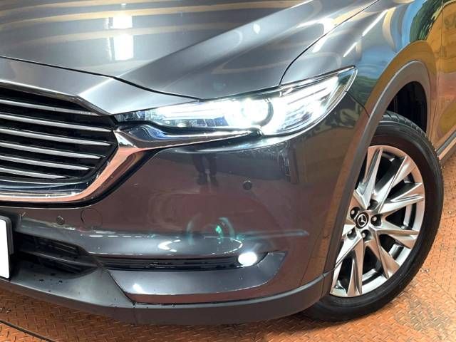 Mazda CX-8 2018-06 194822-13