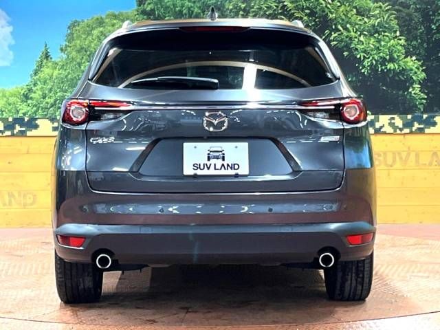 Mazda CX-8 2018-06 194822-16