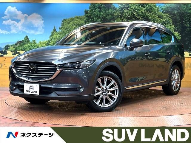 Mazda CX-8 2018-06 194822-0
