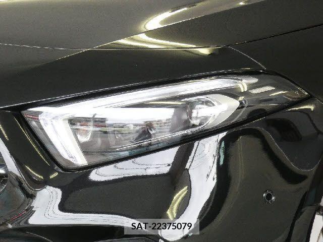 Amg A-Class 2022-11 291501-18