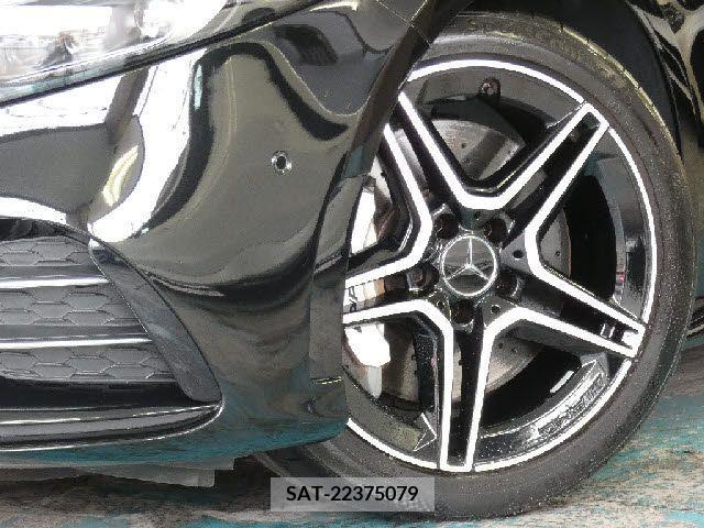 Amg A-Class 2022-11 291501-7