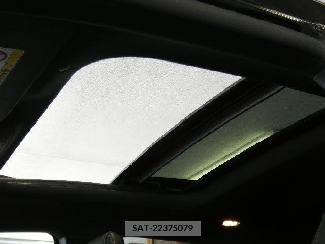 Amg A-Class 2022-11 291501-8