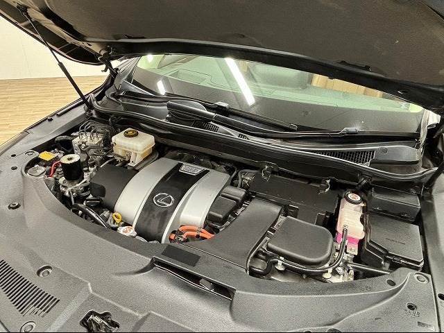 Lexus RX 2020-02 14496-17