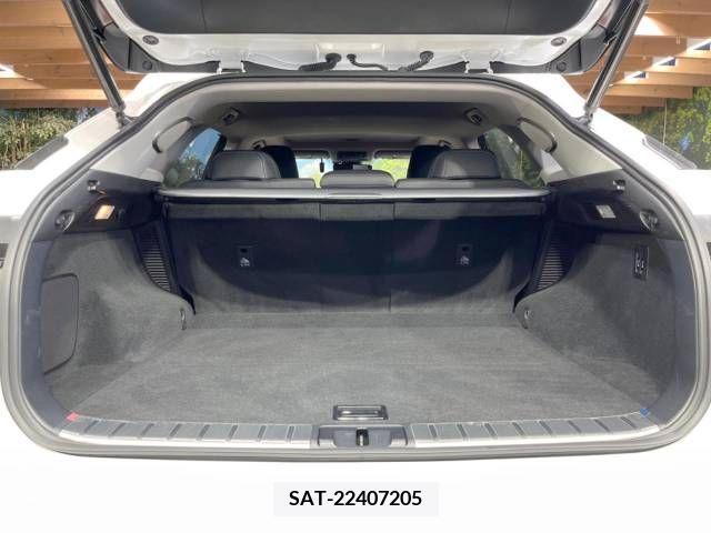 Lexus RX 2017-02 354277-10