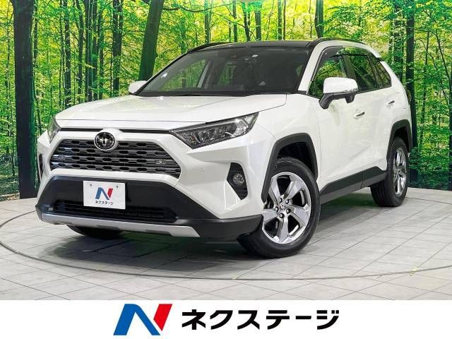 Toyota RAV4 2020-10 18992-0
