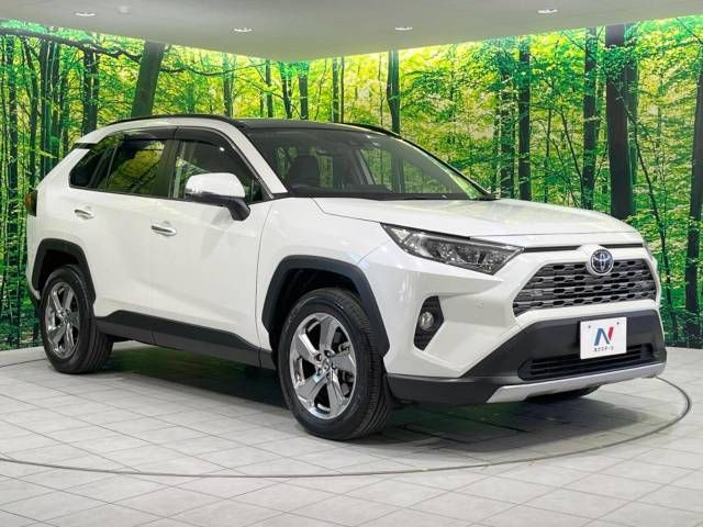 Toyota RAV4 2020-10 18992-16