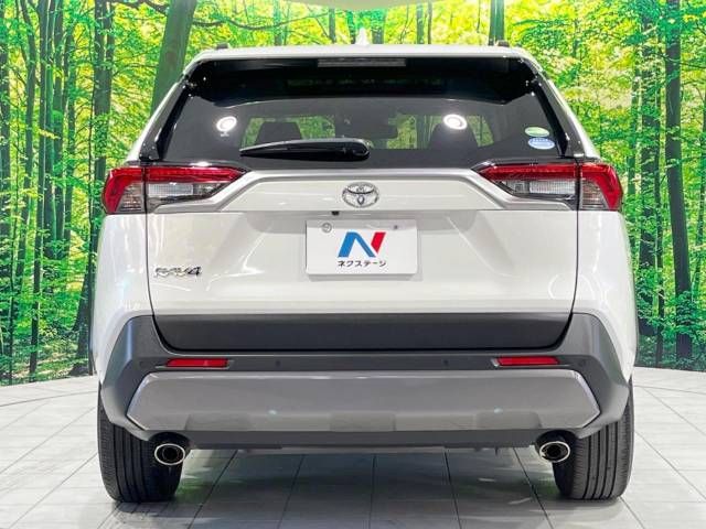 Toyota RAV4 2020-10 18992-15