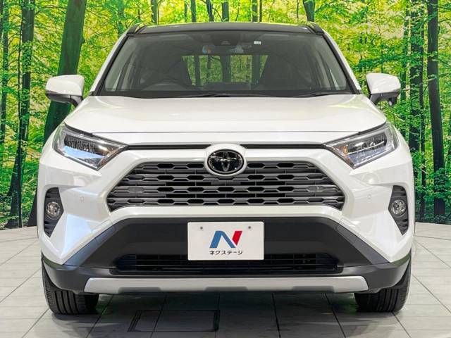 Toyota RAV4 2020-10 18992-14