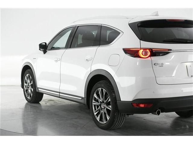 Mazda CX-8 2020-09 182762-6