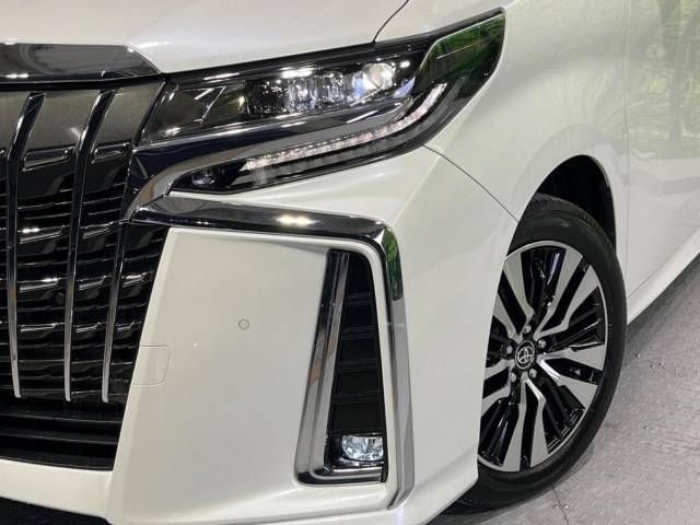 Toyota ALPHARD 2020-11 196691-13