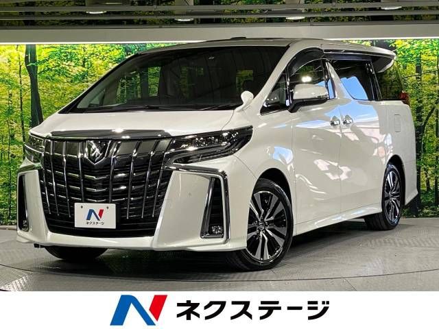 Toyota ALPHARD 2020-11 196691-0