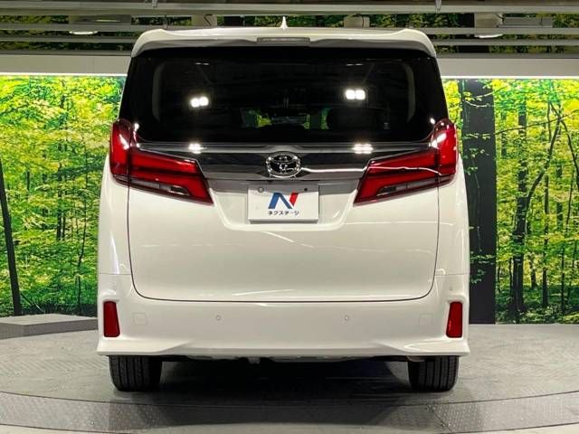 Toyota ALPHARD 2020-11 196691-16