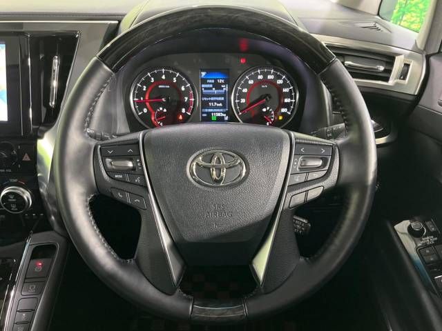 Toyota ALPHARD 2020-11 196691-12