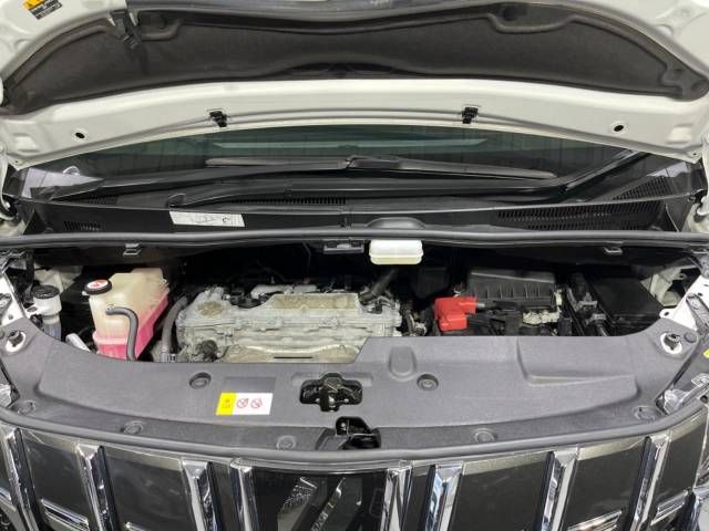 Toyota ALPHARD 2020-11 196691-19