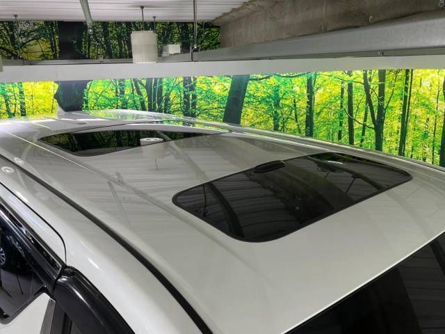 Toyota ALPHARD 2020-11 196691-2