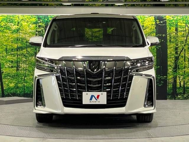 Toyota ALPHARD 2020-11 196691-15