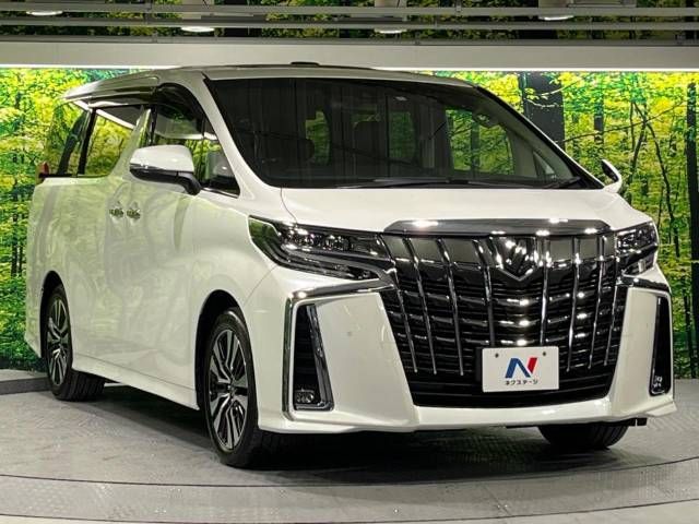 Toyota ALPHARD 2020-11 196691-17