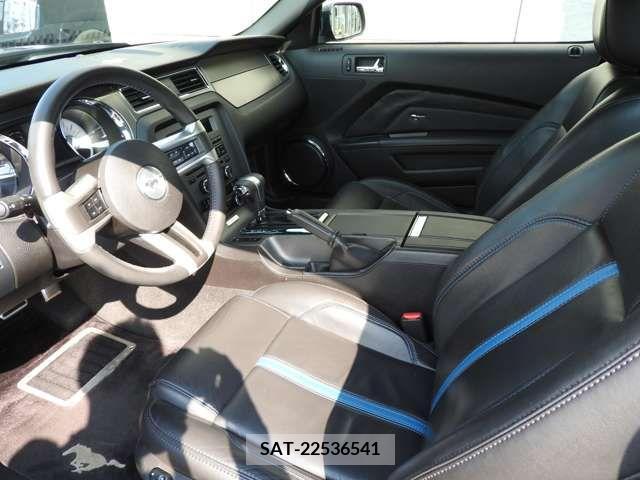 Ford MUSTANG 2010-06 216097-3