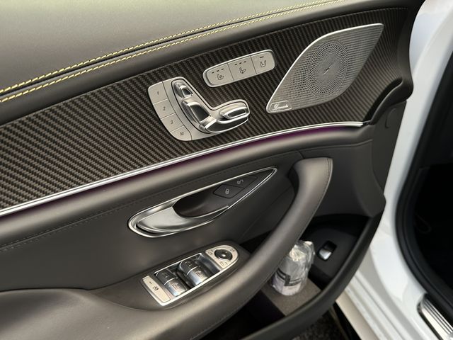 Amg GT 2019-07 20403-17