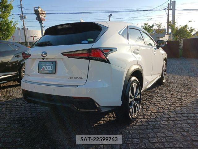 Lexus NX 2018-08 201850-6