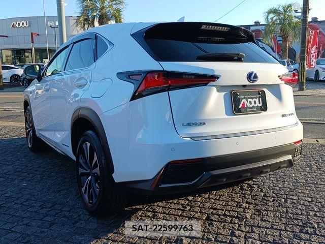 Lexus NX 2018-08 201850-2