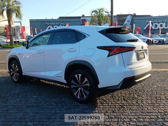 Lexus NX 2018-08 201850-3