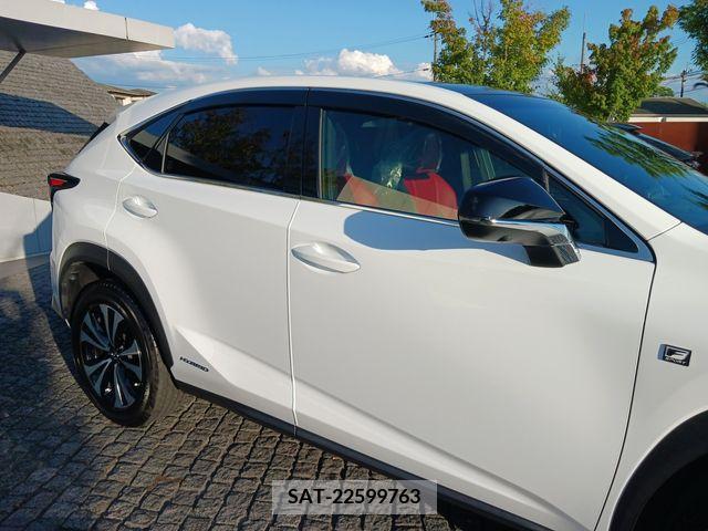 Lexus NX 2018-08 201850-4