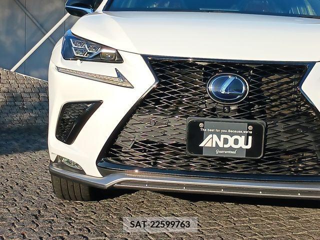 Lexus NX 2018-08 201850-5