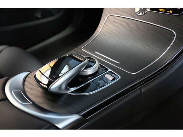 Mercedes Benz C-CLASS 2019-02 18156-15