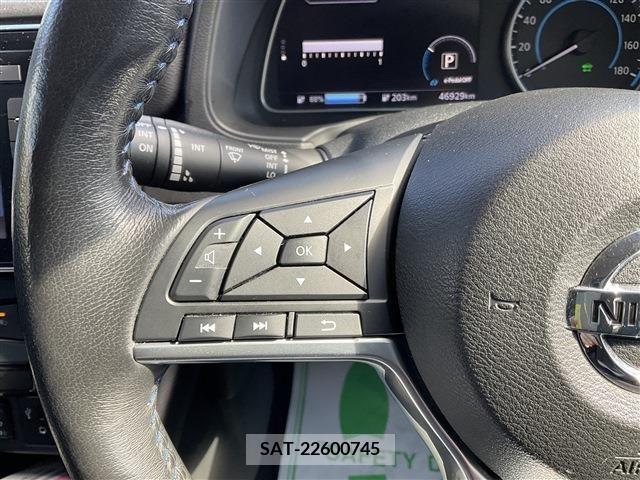Nissan LEAF 2019-09 212286-13