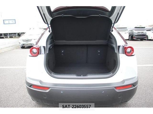 Mazda MX-30 2021-03 280382-17