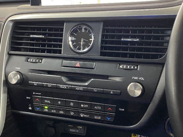 Lexus RX 2021-05 490-14